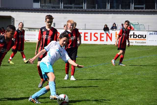 文化学习 文化学习