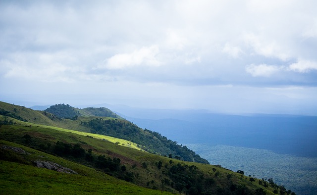 为国家争光 为国家争光