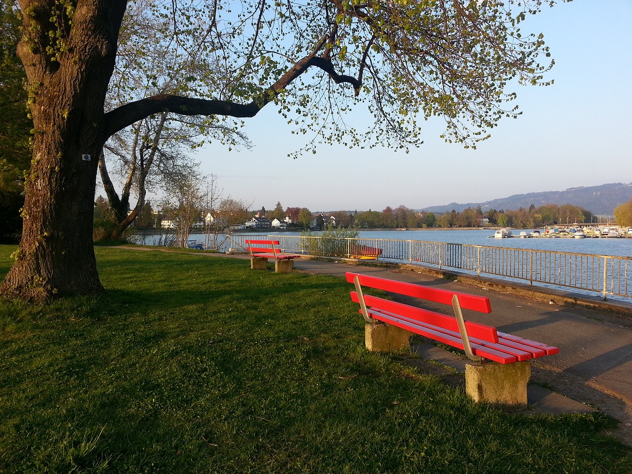 显示出球队 显示出球队