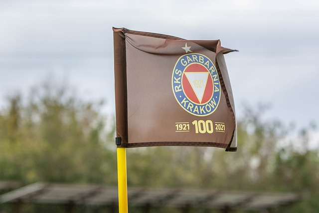 足球報：廣州城股改正穩步推進 廣汽或牽頭國企與富力一同運營球隊.