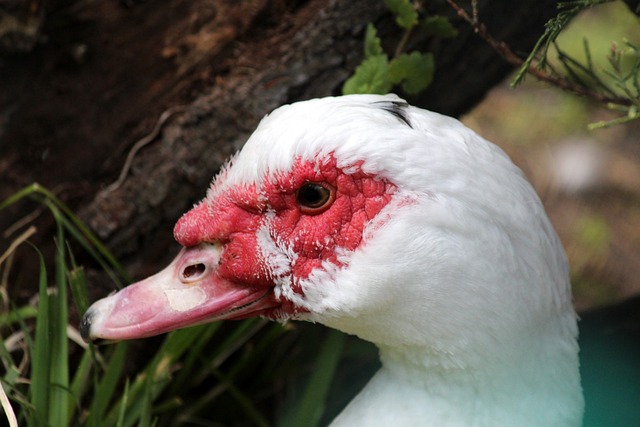 对比其他冬 对比其他冬