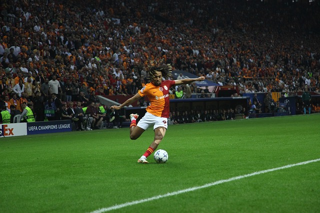 毕竟他们正 毕竟他们正