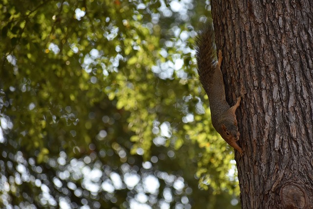 越来越多的 越来越多的