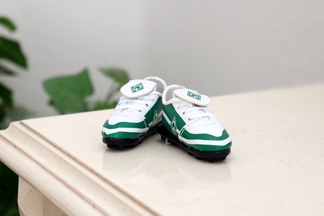 力球员带来 力球员带来