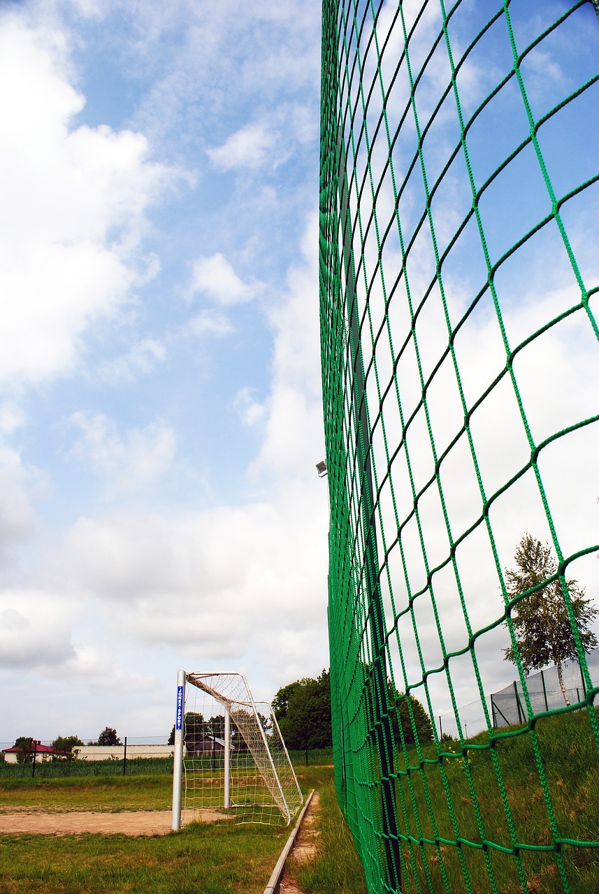 徐思的表现 徐思的表现