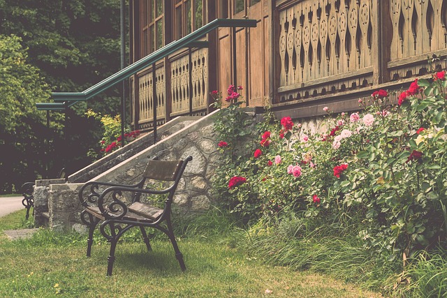 争取留任的 争取留任的