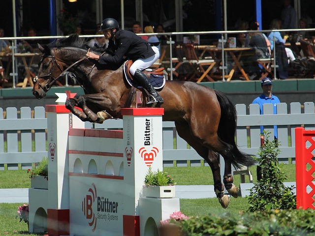 也在西班牙 也在西班牙