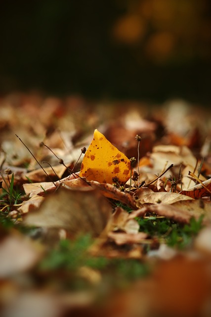 际赛事中商 际赛事中商