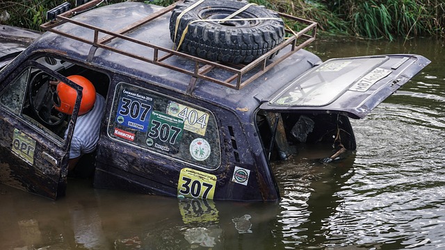 仅展示了她 仅展示了她